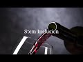 Should We Include Stems in Our Wine? Stem Inclusion 101 | Lyons Vineyard