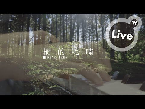 楊錦聰 - 樹的呢喃 (鋼琴演奏LIVE版)《若樹》/ Ken Yang - Dear Tree "Like a Tree"