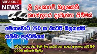 ශ්‍රී ලංකාවට හරිත ආයෝජන හිතකාමි විදුලිබල පද්ධතියක්  | මෙගාවොට් 250 ක බැටරි බලශක්ති ගබඩා පද්ධතියක්