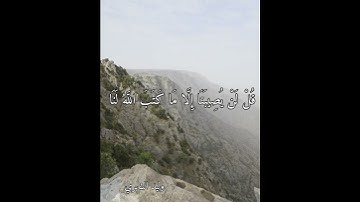 ( قل لن يصيبنا إلا ما كتب الله لنا ) تلاوة من سورة التوبة - وليد الشهري