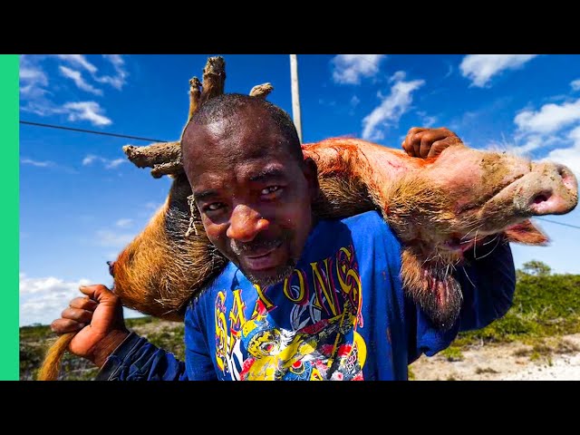 Bahamas BAREHAND Pig Hunting!! Carribean’s Most DANGEROUS Food!! | Best Ever Food Review Show