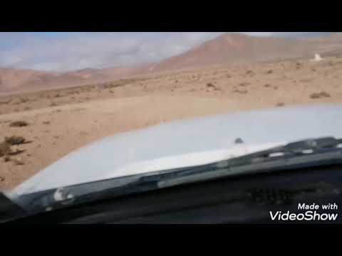 متوحش الحباب