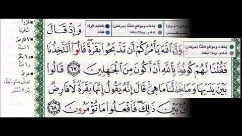 سورة البقرة   الجزء الثامن من اية 62 الى الاية 69