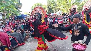 Barongan Putro Wiguno Gawat live Gambirejo