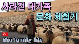Korean man is invited Kurdish big family. It was fantastic
