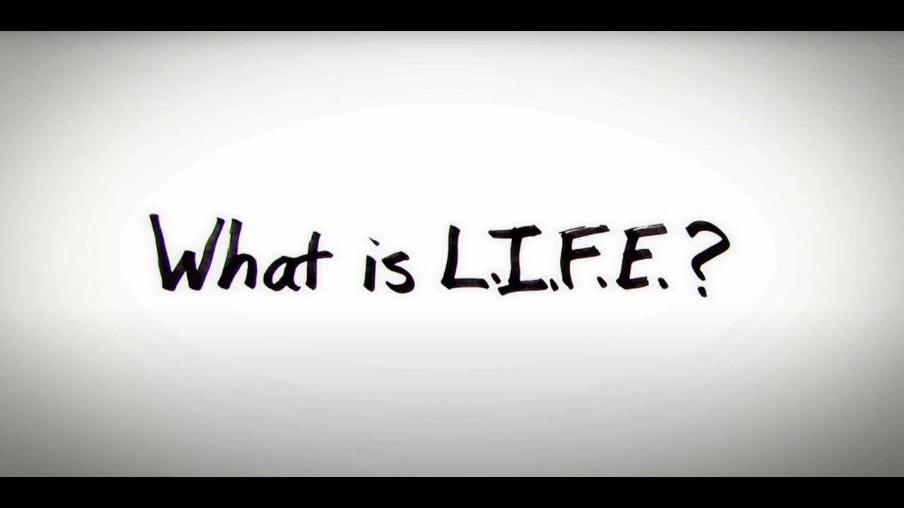 Peter Pollock - What is Life?