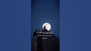 اكتب شي تؤجر عليه 🤲🏿😌 #قران_كريم #راحة_نفسية #تلاوة_خاشعة