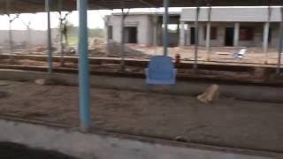 New dairy shed construction civil work at dairy shed built with iron material.