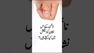 Questions and Answers | World Knowledge | Islamic Studies | Gk in Urdu #knowledgeispower #studies