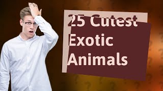 Can I Own an Exotic Animal? 25 Cutest Ones to Consider