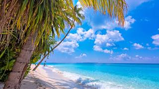 🏝 The Most Relaxing Ocean Video Ever 4K UHD. VELAA Private Island