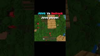 Java vs bedrock player