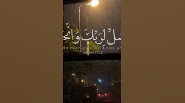 سورة الكوثر تلاوة هادئة 🤍