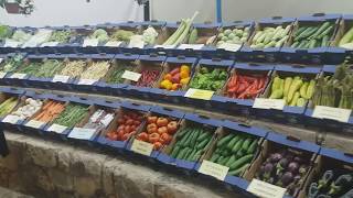 Выставка овощей и фруктов на Кипре (хотелось надкусить чегось)