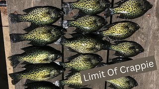 Slip Bobber Fishing for Crappies in Michigan on the Angler Qwest Pontoon