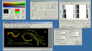 Coagula 1.666 Sound Spectrogram Painting