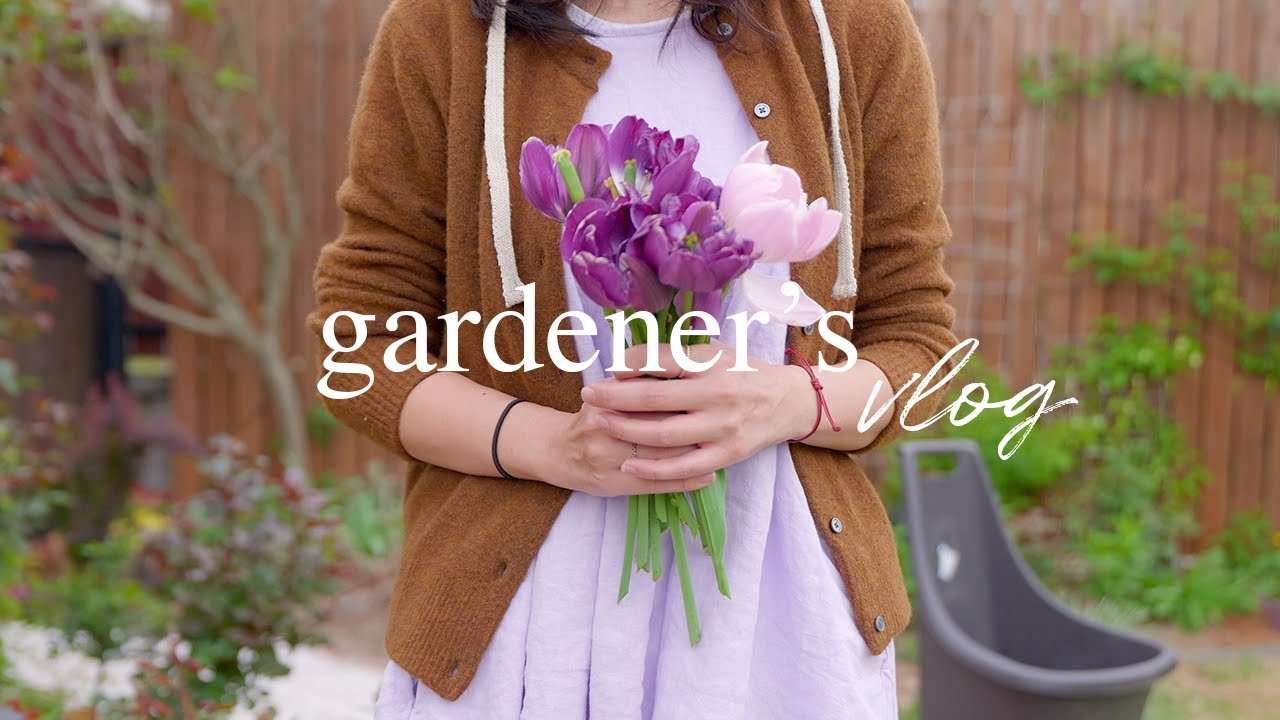 Прощай, тюльпан, здравствуй, хаос 🌷 Онлайн-покупка растений и перезапуск сада