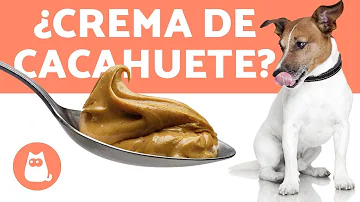 ¿Se puede mezclar comida para perros con mantequilla de cacahuete?