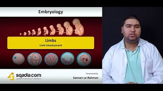 Limbs | Limb Development | Embryology Student Lecture | Medical V-Learning