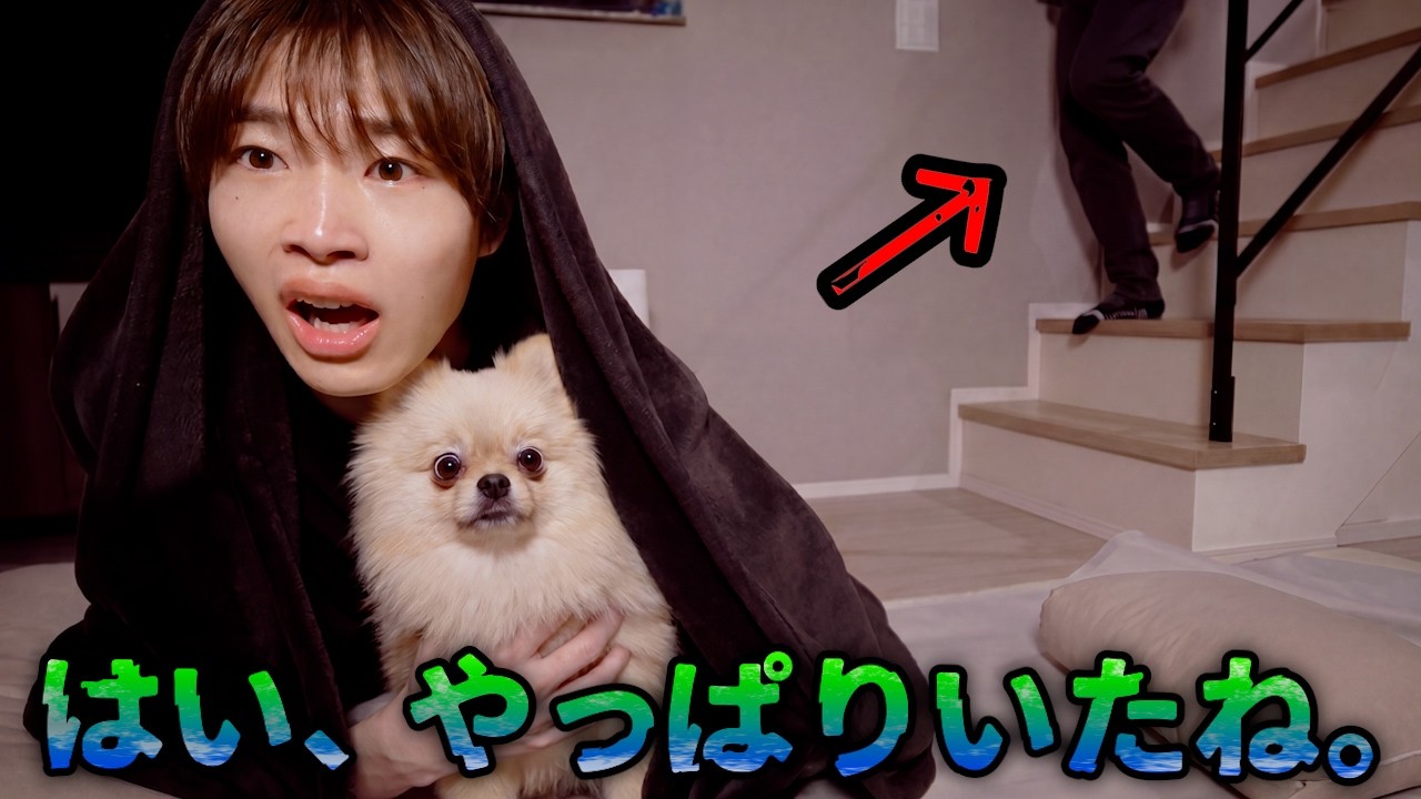やっぱりいた、、、怪奇現象だらけの家で愛犬と寝たらとんでもないことが起きた…