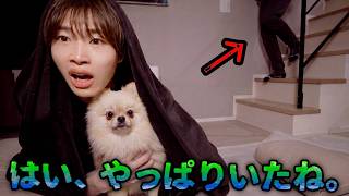 やっぱりいた、、、怪奇現象だらけの家で愛犬と寝たらとんでもないことが起きた…
