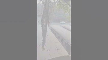 MSRTC BUS WORKSHOP THANE KALWA #india #shorts #viral #trending #maharashtra #bus #msrtc #transport