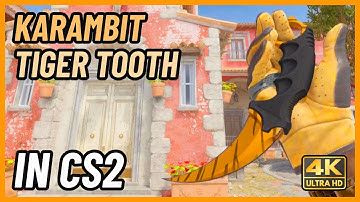 ★ CS2 Karambit Tiger Tooth | CS2 Knife In-Game Showcase [4K]