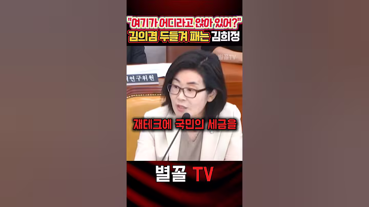 김o겸 면전에 대놓고 팩트로 두들겨 패는 김희정 #김희정 #청문회 #국민의힘 #정치 #보수