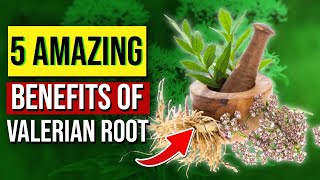 5 AWESOME Valerian Root Benefits