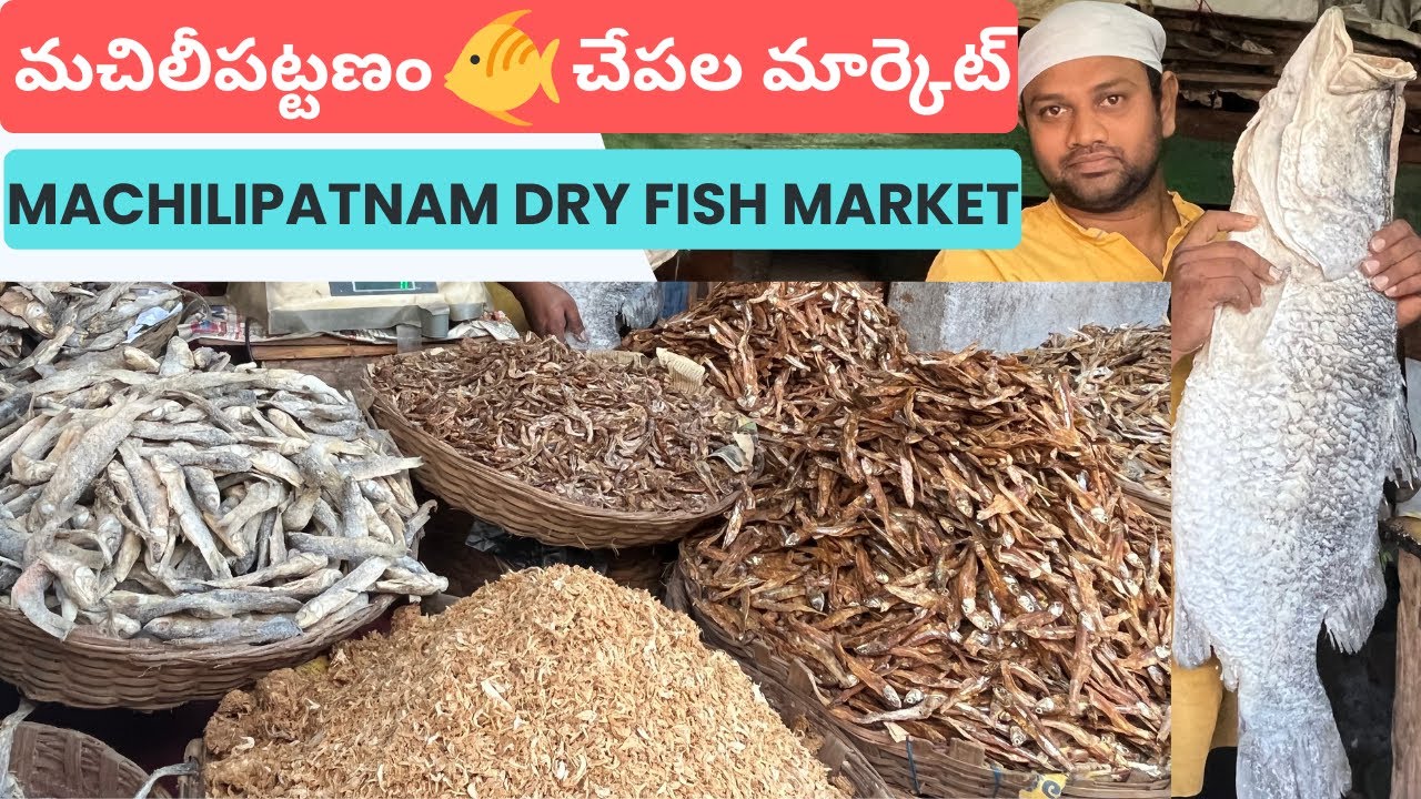 Dry Fish Market Machilipatnam Bandar చేపల మార్కెట్ Sea Foods