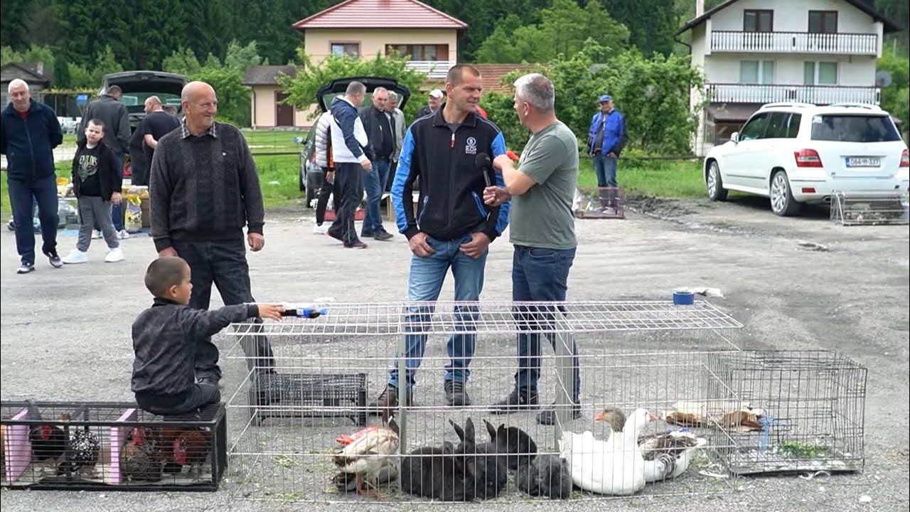 VELIKI SAJAM SITNIH ŽIVOTINJA  U TURBETU