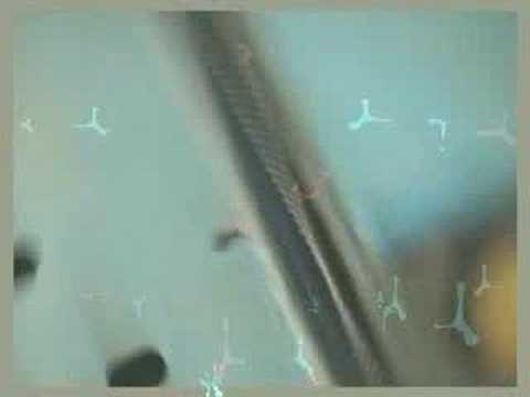 Battery Operated — ChasesTroughCarwash_ batteryOperated_beewoo