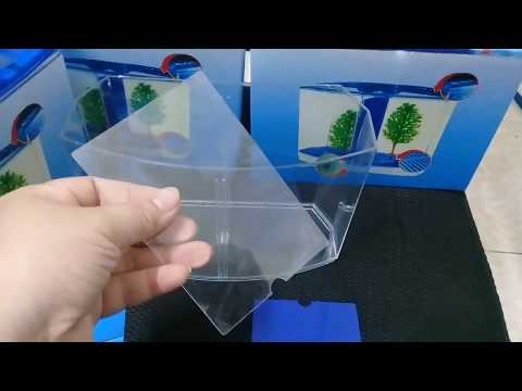 Video Bể cá chọi 2 ngăn Betta box - youtube