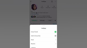 What Does It Mean When You See an Instagram Green Following Button ❇️