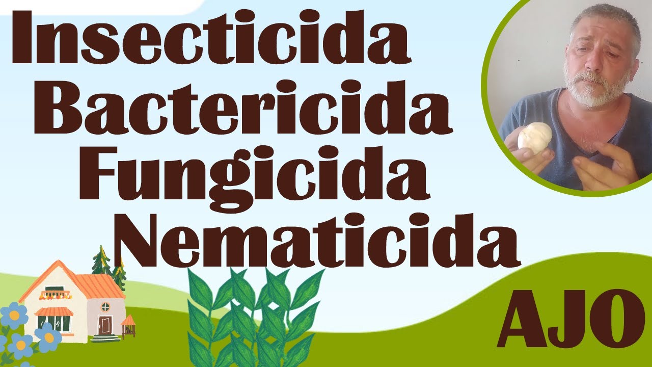 El Ajo: Insecticida, Bactericida, Nematicida, y Fungicida