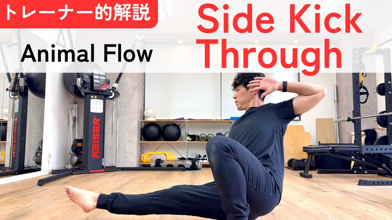 【トレーナー的Animal Flow解説】Side kick through〜効果とフォームを解説〜