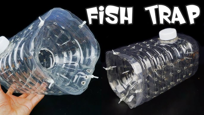 How to make the Plastic Bottle Fish Trap 