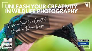 Unleash Your Creativity in Wildlife Photography