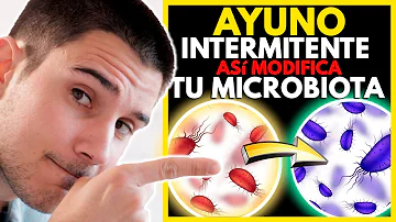 ¿Puede el ayuno reparar el intestino?