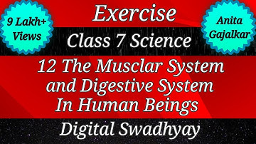 Exercise Class 7 science chapter 12 the muscular system and digestive system in human beings। std 7