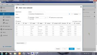 Report using SAP Lumira screenshot 3