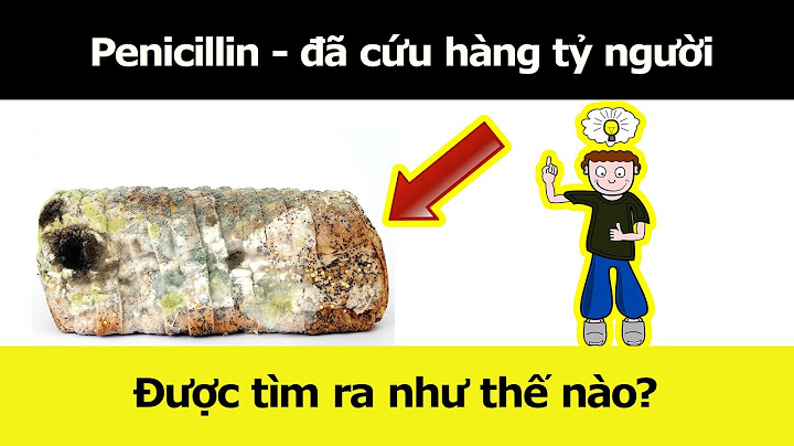 Penicillin v 1 triệu đơn vị bằng bao nhiêu mg năm 2024