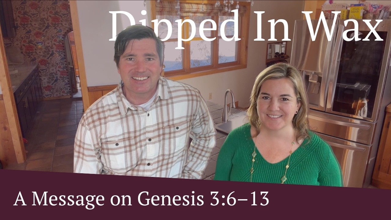 Dipped In Wax | February 27, 2026 | The Twig