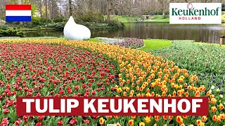 NL VLOG #19 KEUKENHOF HOLLAND | Virtual Tour Keukenhof Tulip Netherlands | Taman Bunga Tulip Belanda