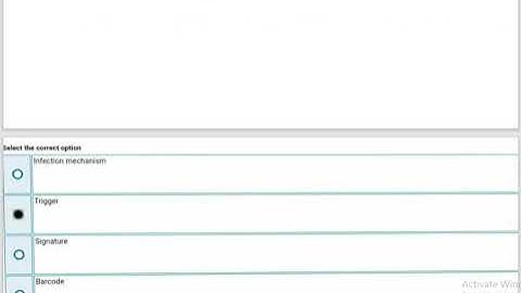 CS315 Quiz no 1 2021 (group description link)