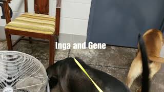 Inga and Gene