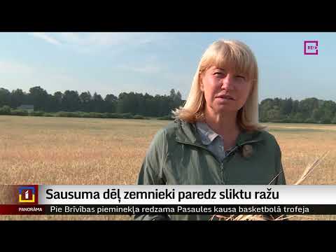 Video: Pākstīm nav zirņu - iemesli, kāpēc pākstis neaudzē zirņus