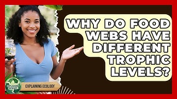 Why Do Food Webs Have Different Trophic Levels? - Explaining Ecology