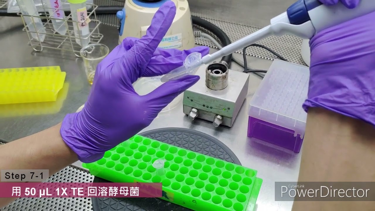 實驗十一實驗教學影片 - YouTube