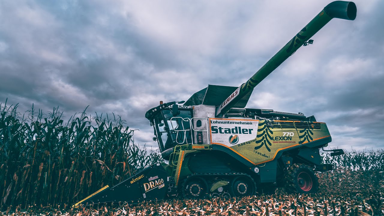 Maisdreschen mit Lohnunternehmen Stadler [Claas Lexion 770 TT]
